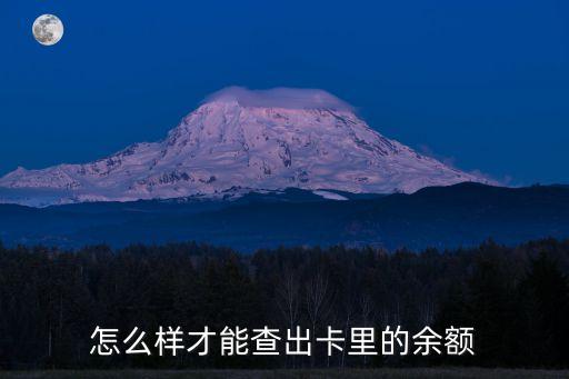 怎么查民生信用卡余額，我想查詢卡上余額
