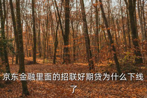 京東金融里面的招聯(lián)好期貸為什么下線了