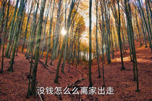 沒錢整個啥 該怎么辦，沒錢怎么辦啊討不到老婆了我真想背叛這個世界賺大錢