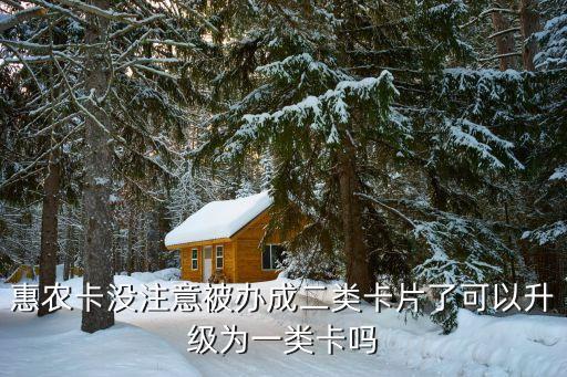 銀行卡二級(jí)卡怎么升級(jí)，惠農(nóng)卡沒(méi)注意被辦成二類(lèi)卡片了可以升級(jí)為一類(lèi)卡嗎