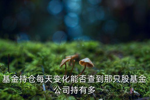 基金持倉每天變化能否查到那只股基金公司持有多
