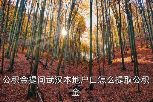 公積金提問武漢本地戶口怎么提取公積金