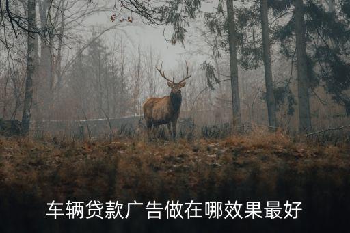 車輛貸款廣告做在哪效果最好