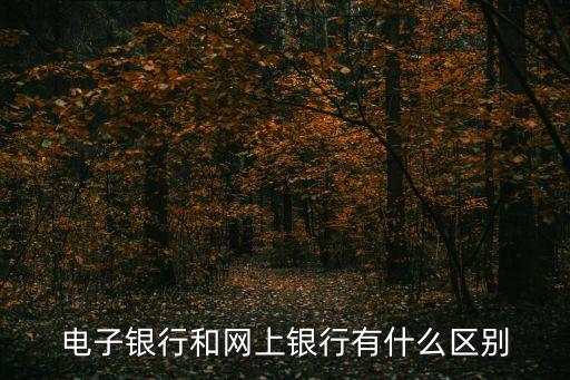 電子銀行和網(wǎng)上銀行有什么區(qū)別