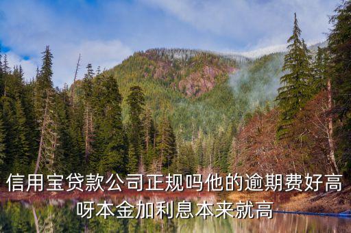 信用寶貸款公司正規(guī)嗎他的逾期費好高呀本金加利息本來就高