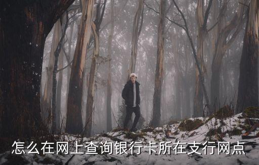 怎么在網(wǎng)上查詢銀行卡所在支行網(wǎng)點(diǎn)