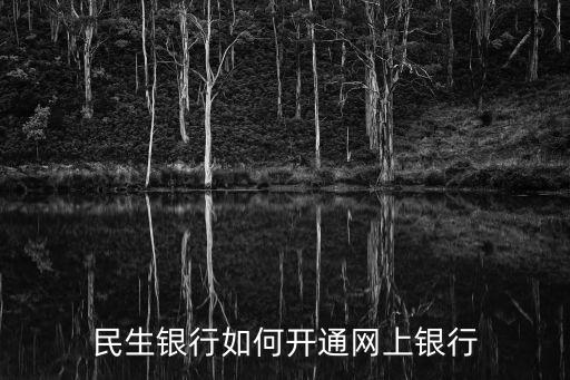 民生銀行如何開(kāi)通網(wǎng)上銀行