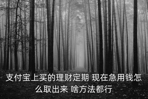 理財里面的錢怎么取出來嗎，支付寶上買的理財定期 現(xiàn)在急用錢怎么取出來 啥方法都行