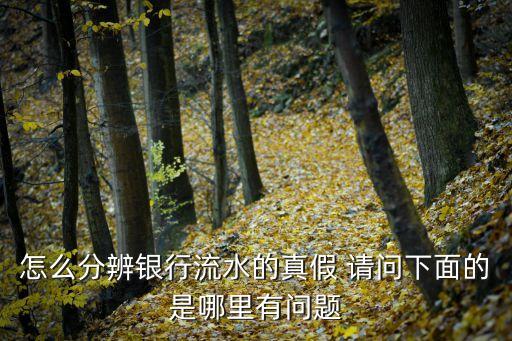 怎么分辨銀行流水的真假 請(qǐng)問(wèn)下面的是哪里有問(wèn)題