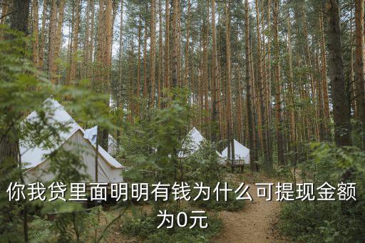 你我貸里面明明有錢為什么可提現(xiàn)金額為0元