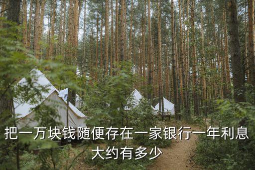 隨意存利息怎么算，把一萬塊錢隨便存在一家銀行一年利息大約有多少