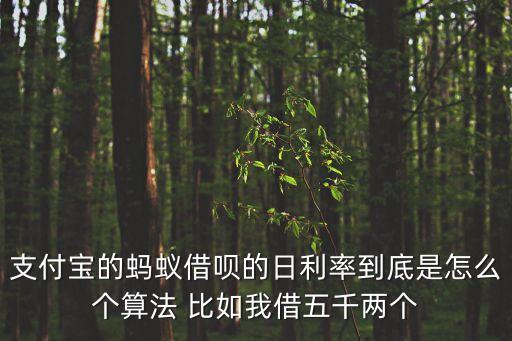 支付寶的螞蟻借唄的日利率到底是怎么個算法 比如我借五千兩個