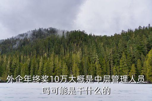 外企年終獎10萬大概是中層管理人員嗎可能是干什么的