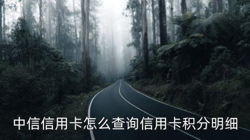 中信信用卡怎么查詢信用卡積分明細(xì)