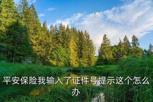 平安證券怎么查想好，我交的是安全理財(cái)D款保險(xiǎn)