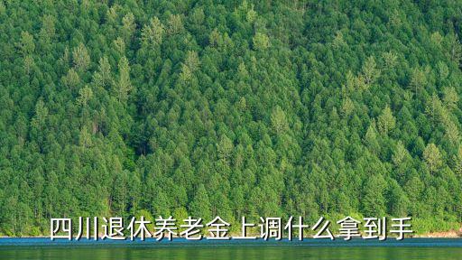 四川退休養(yǎng)老金上調(diào)什么拿到手