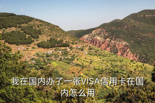 我在國(guó)內(nèi)辦了一張VISA信用卡在國(guó)內(nèi)怎么用