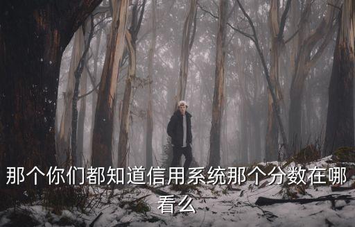 那個(gè)你們都知道信用系統(tǒng)那個(gè)分?jǐn)?shù)在哪看么