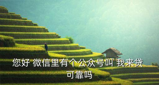 您好 微信里有個公眾號叫 我來貸 可靠嗎