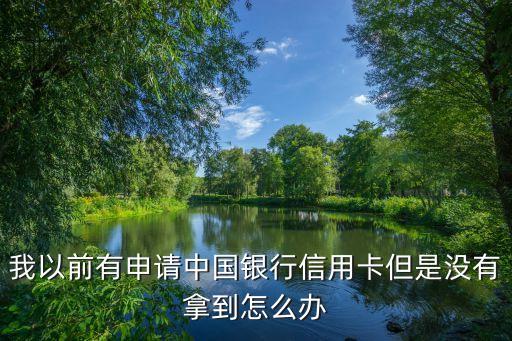 我以前有申請(qǐng)中國(guó)銀行信用卡但是沒有拿到怎么辦
