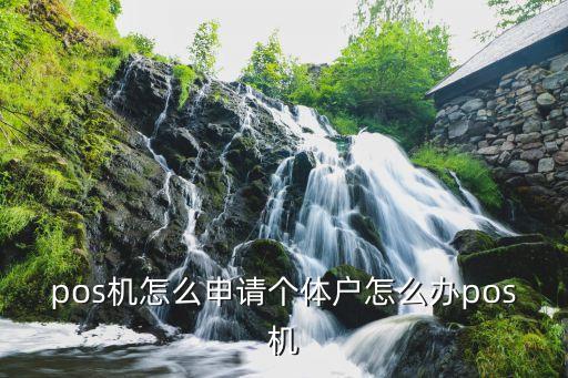 個體商戶怎么辦pos機，我是商場的個體戶應(yīng)該怎么申請POS機呢請高手指教