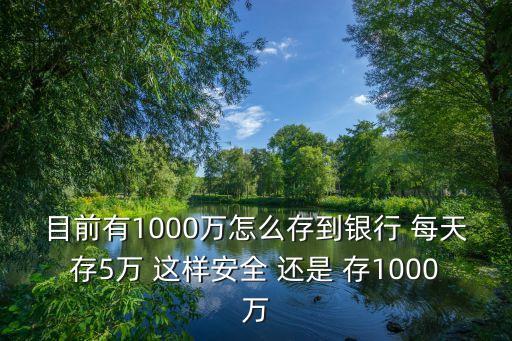 目前有1000萬怎么存到銀行 每天存5萬 這樣安全 還是 存1000萬