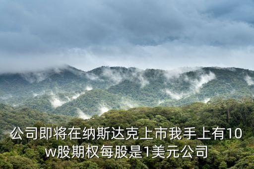 公司即將在納斯達(dá)克上市我手上有10w股期權(quán)每股是1美元公司