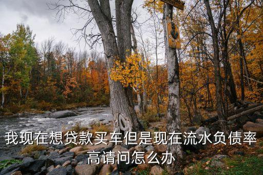 個人負(fù)債率過高怎么辦，個人負(fù)債高怎么貸款