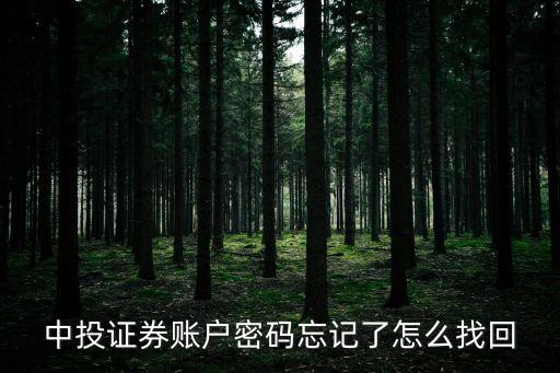 中投證券賬戶密碼忘記了怎么找回