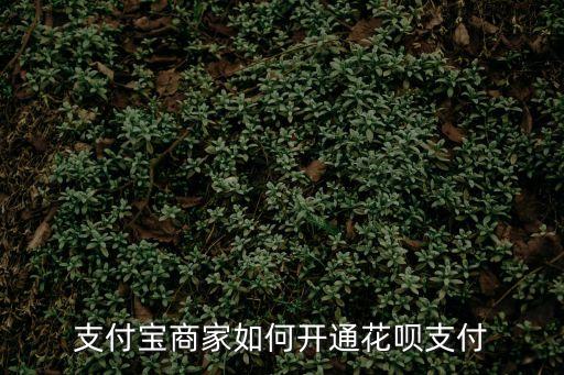 支付寶商家如何開通花唄支付