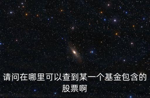 請問在哪里可以查到某一個基金包含的股票啊