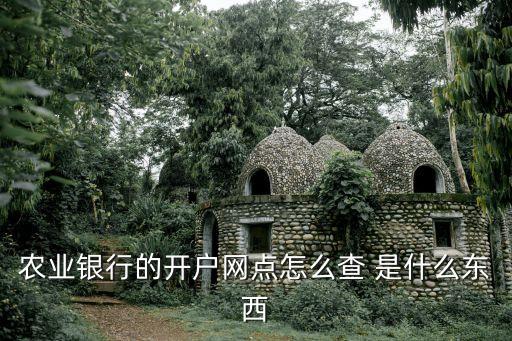 農(nóng)業(yè)銀行的開戶網(wǎng)點(diǎn)怎么查 是什么東西