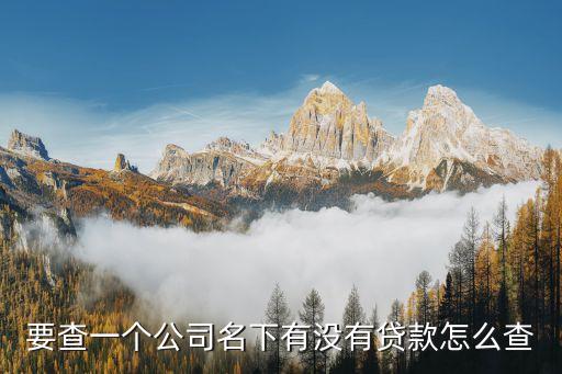 查找公司貸款怎么查詢，要查一個(gè)公司名下有沒有貸款怎么查