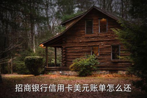 招商銀行信用卡美元賬單怎么還