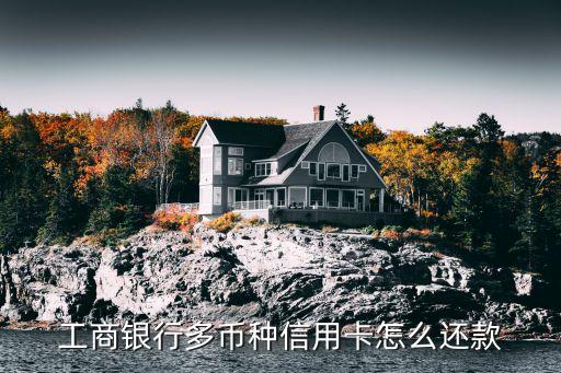 工行多幣種怎么還款嗎，工商銀行多幣種卡的境外消費(fèi)怎樣還款