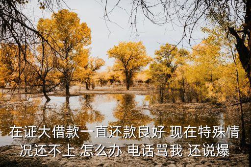 證大e貸怎么關(guān)了，在證大借款一直還款良好 現(xiàn)在特殊情況還不上 怎么辦 電話罵我 還說爆