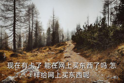 用信用卡怎么買手機嗎，信用社的卡可以在網(wǎng)上買東西嗎