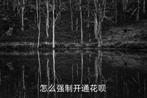 怎么強(qiáng)制開通花唄