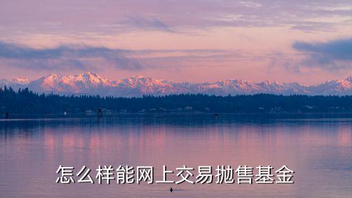 基金交易怎么交易平臺(tái)，怎么樣能網(wǎng)上交易拋售基金