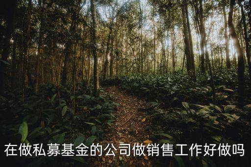 基金公司業(yè)務(wù)員工作怎么樣，在做私募基金的公司做銷售工作好做嗎