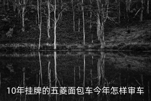 10年掛牌的五菱面包車今年怎樣審車