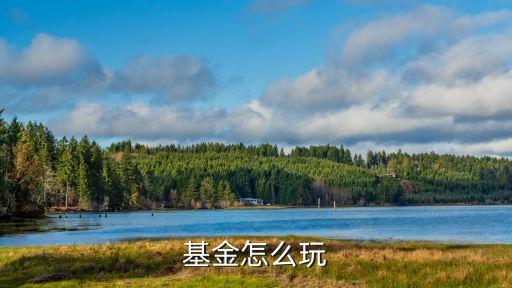 基金 怎么玩，基金怎么玩啊