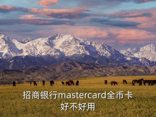 招商銀行mastercard全幣卡好不好用