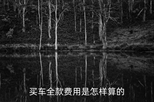 購車全款怎么算的，買車全款怎樣計(jì)算詳細(xì)的告訴一下