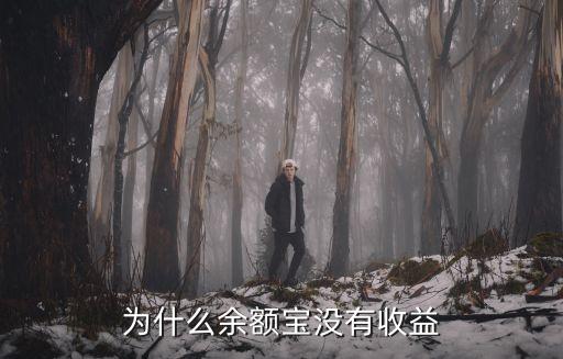余額寶沒有收益怎么回事，為什么我的余額寶沒有收益