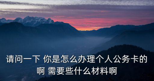 請問一下 你是怎么辦理個人公務(wù)卡的啊 需要些什么材料啊