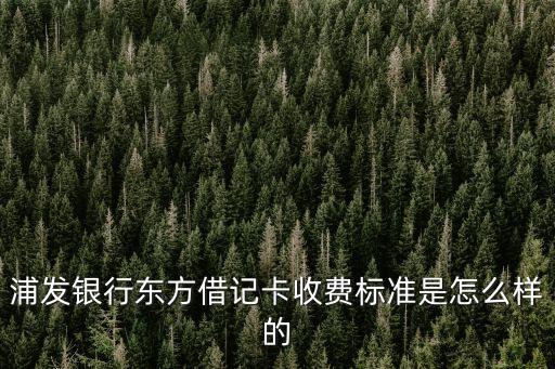 浦發(fā)東方借怎么，現(xiàn)在浦發(fā)銀行的東方借記卡怎么收費啊