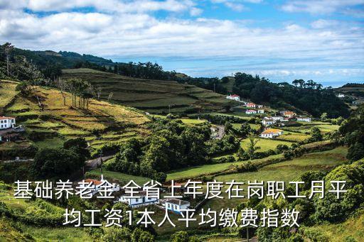基礎(chǔ)養(yǎng)老金 全省上年度在崗職工月平均工資1本人平均繳費(fèi)指數(shù)