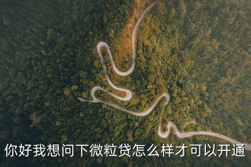 你好我想問下微粒貸怎么樣才可以開通