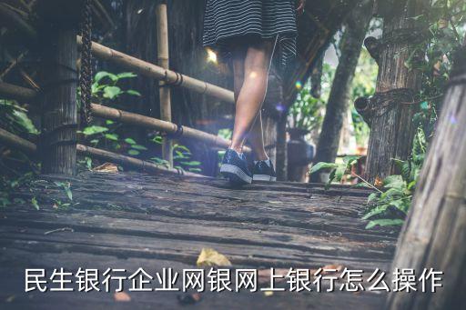 民生銀行對(duì)公網(wǎng)上銀行怎么登錄，民生銀行企業(yè)網(wǎng)銀網(wǎng)上銀行怎么操作